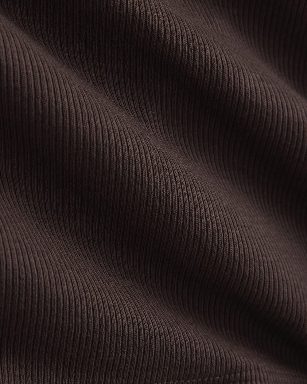 Luxe Rib V-Neck Henley in Coffee Bean — alternate view