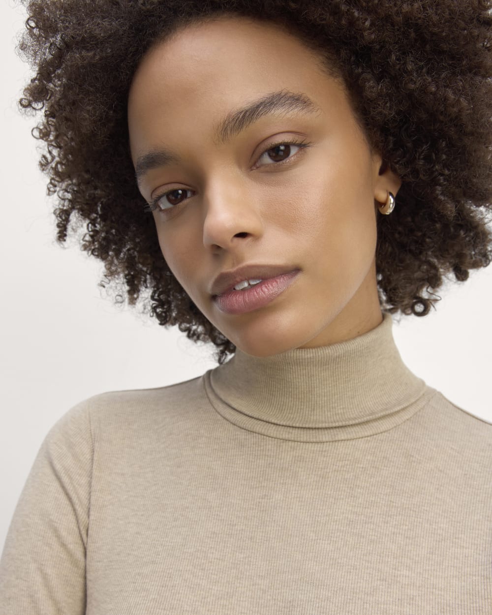 The Luxe Rib Turtleneck in Heathered Tan — detail view