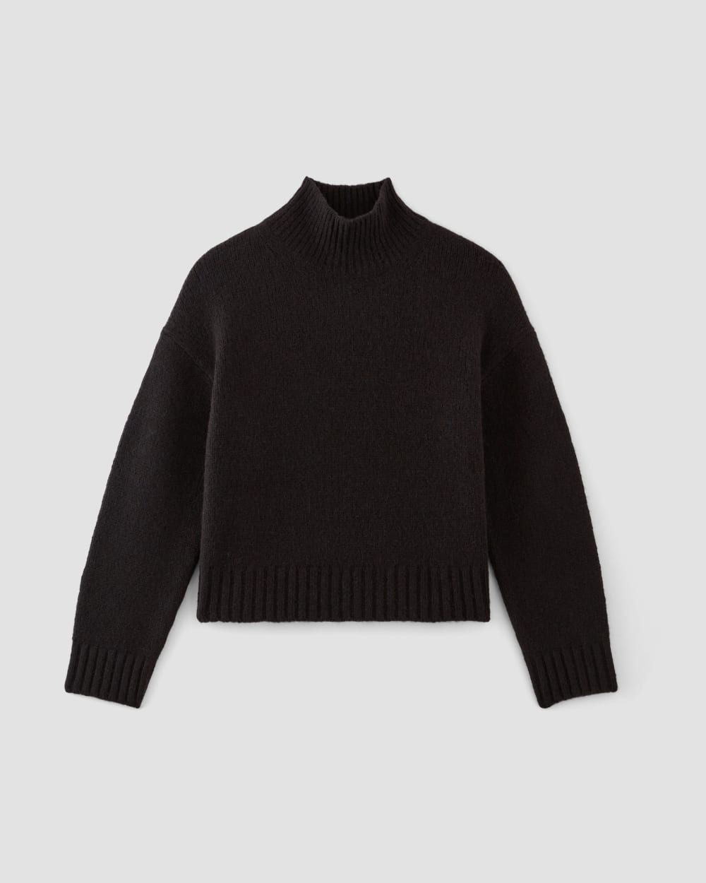 The Cloud Oversized Turtleneck in Black — alternate view