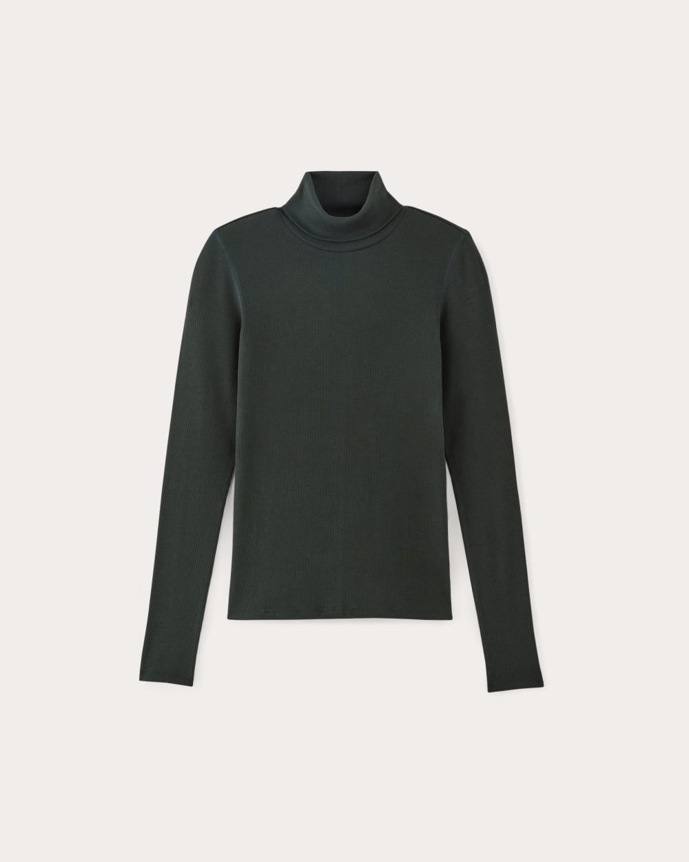 The Luxe Rib Turtleneck in Scarab — alternate view