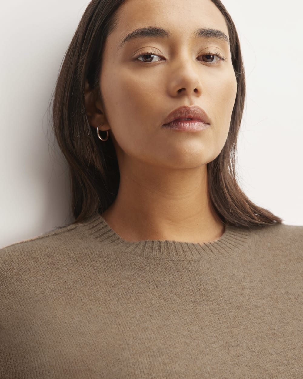 The Good Merino Wool Crewneck Sweater in Praline — detail view