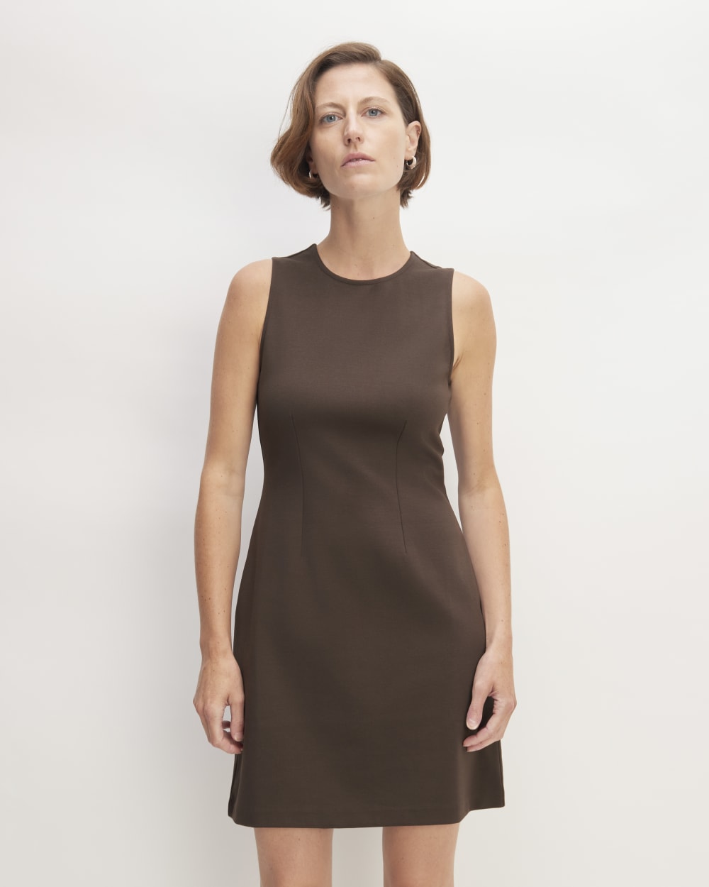 The Dream '90s Shift Dress in Earth Brown — front view