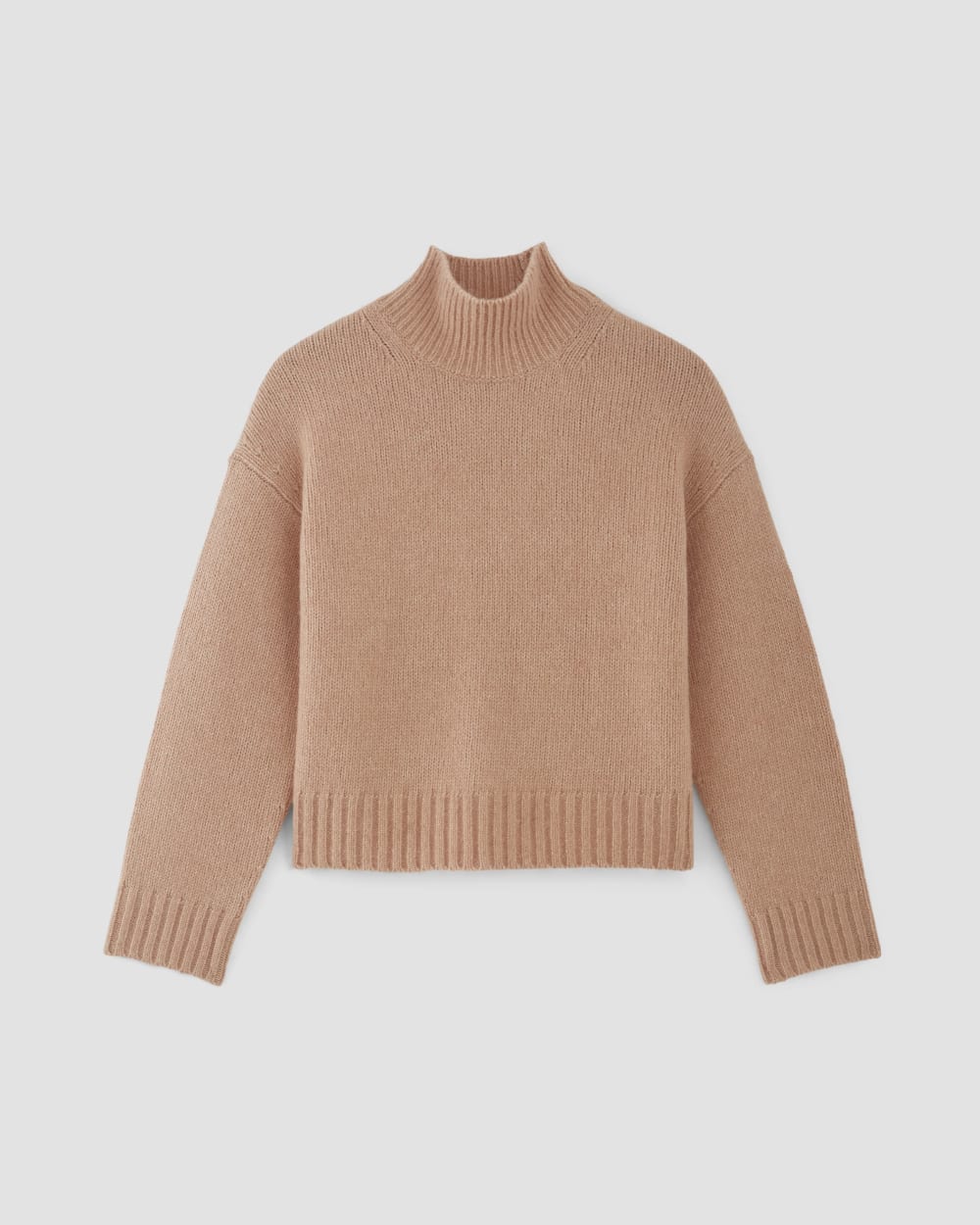 The Cloud Oversized Turtleneck in Blush Pink — alternate view