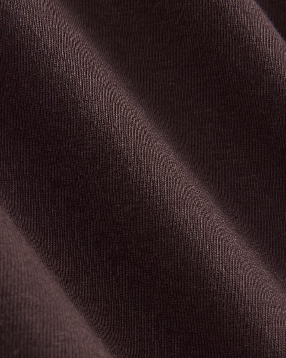 The Slim Long-Sleeve Crew in Essential Cotton in Dark Chocolate — detail view