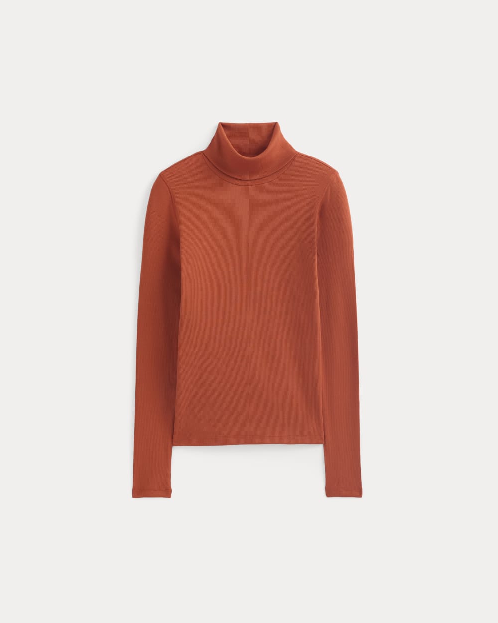 The Luxe Rib Turtleneck in Rust — alternate view