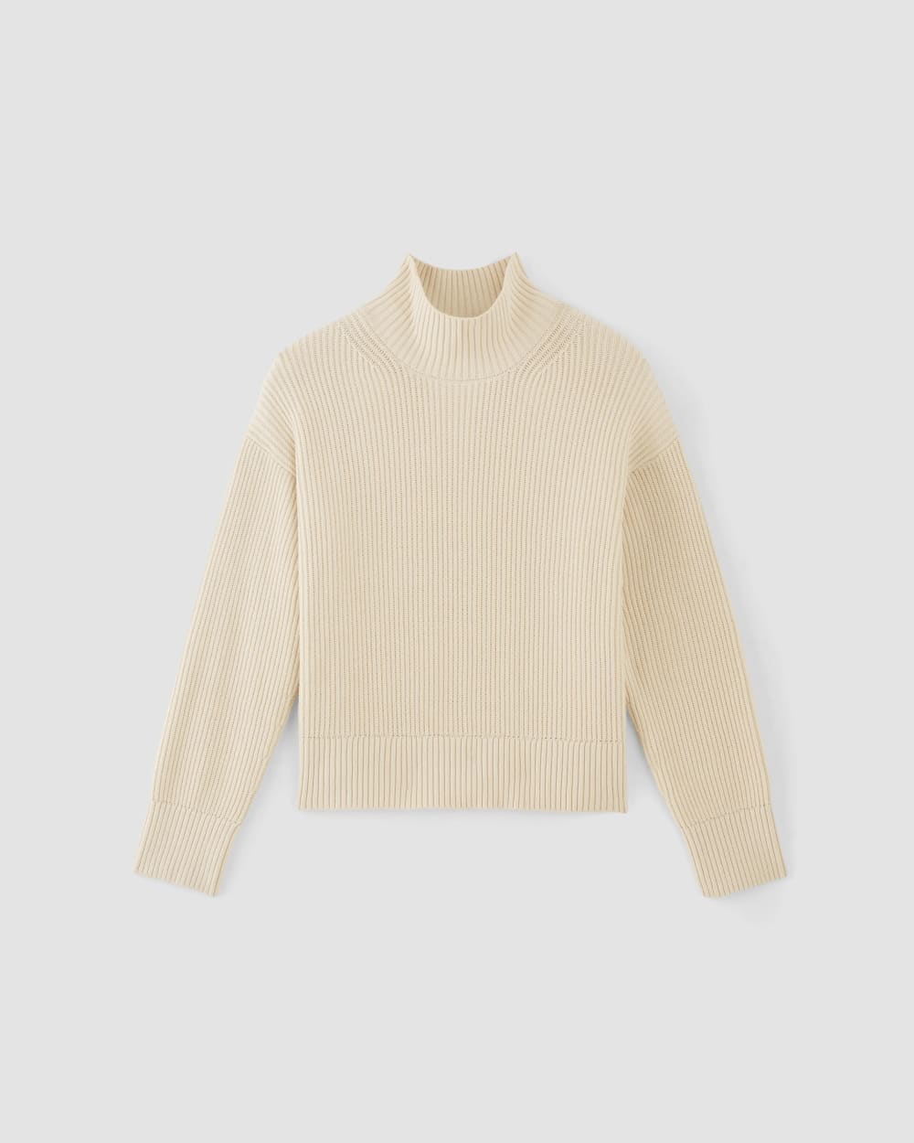The Organic Cotton Ribbed Turtleneck in Canvas — alternate view