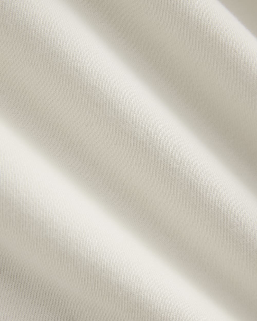 Luxe Fleece Oversized Full-Zip Hoodie in Bone — detail view