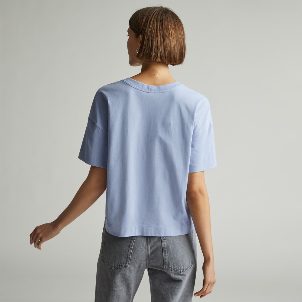 The Organic Cotton Slouchy V-Neck in Periwinkle — detail view