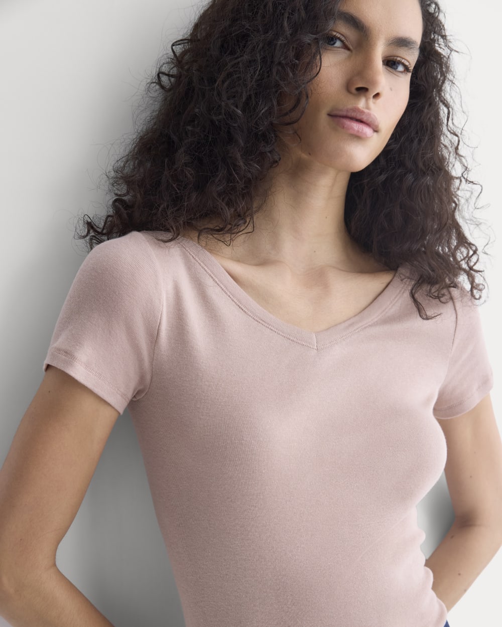 Tissue Short-Sleeve V-Neck Top in Dusty Rose — detail view