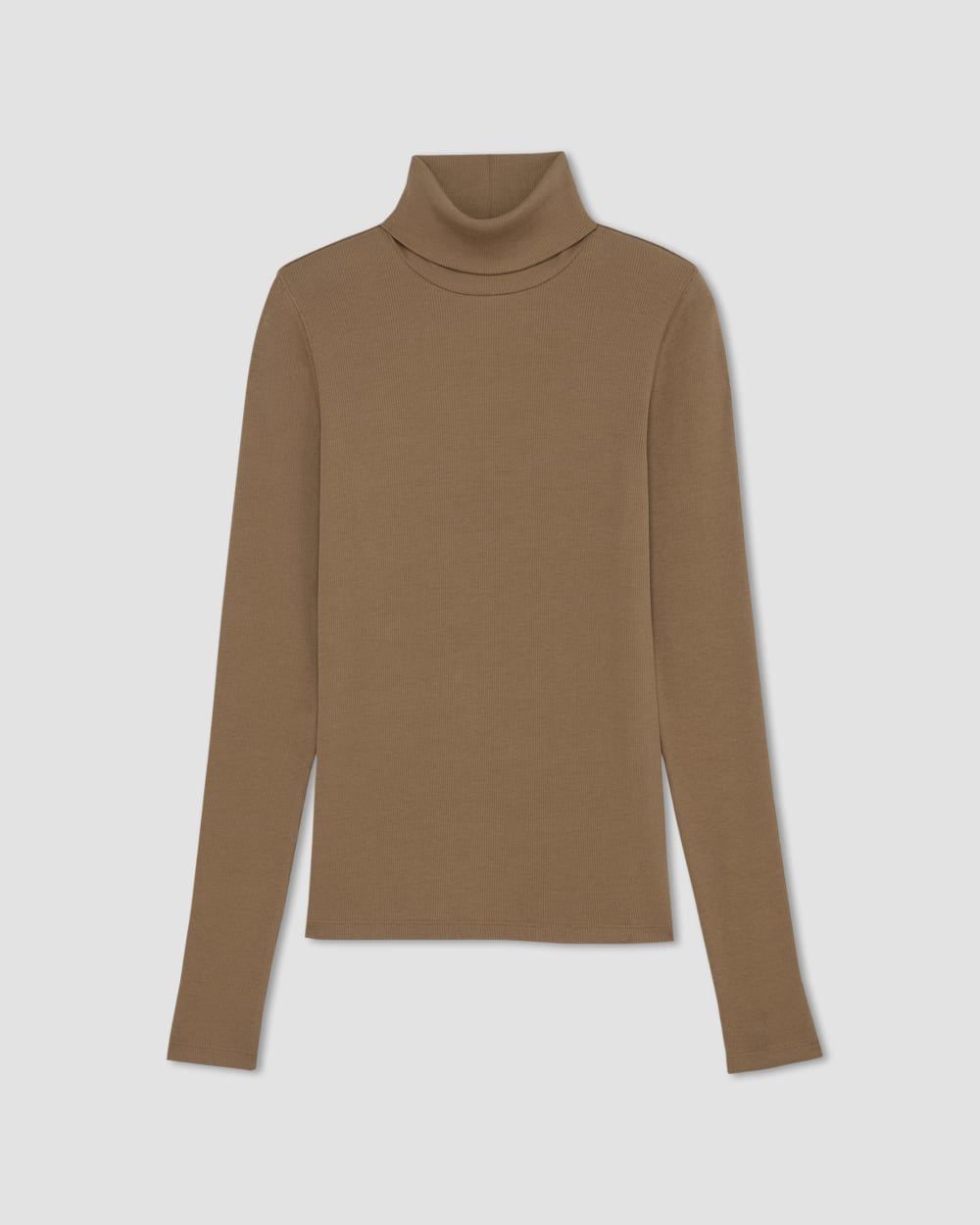 The Luxe Rib Turtleneck in Toasted Coconut — alternate view