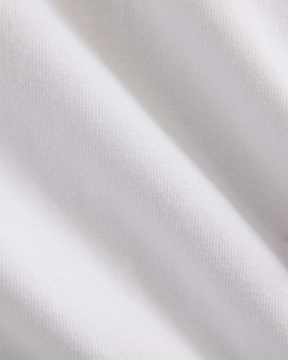 Everlane x Elena Bonvicini 73 Tee in Whitecap — detail view