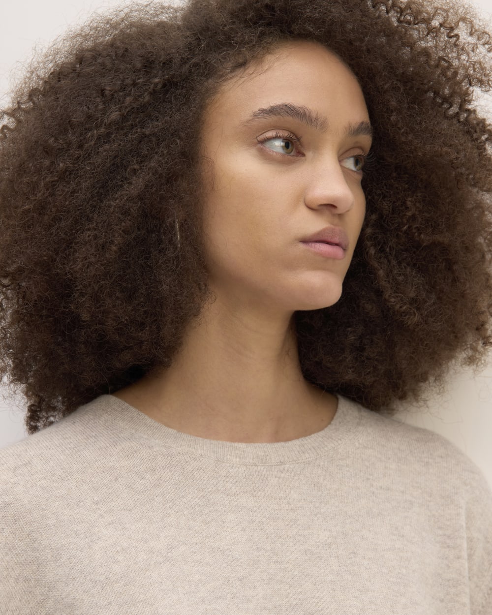 The Classic Crew in Cashmere in Canvas — detail view