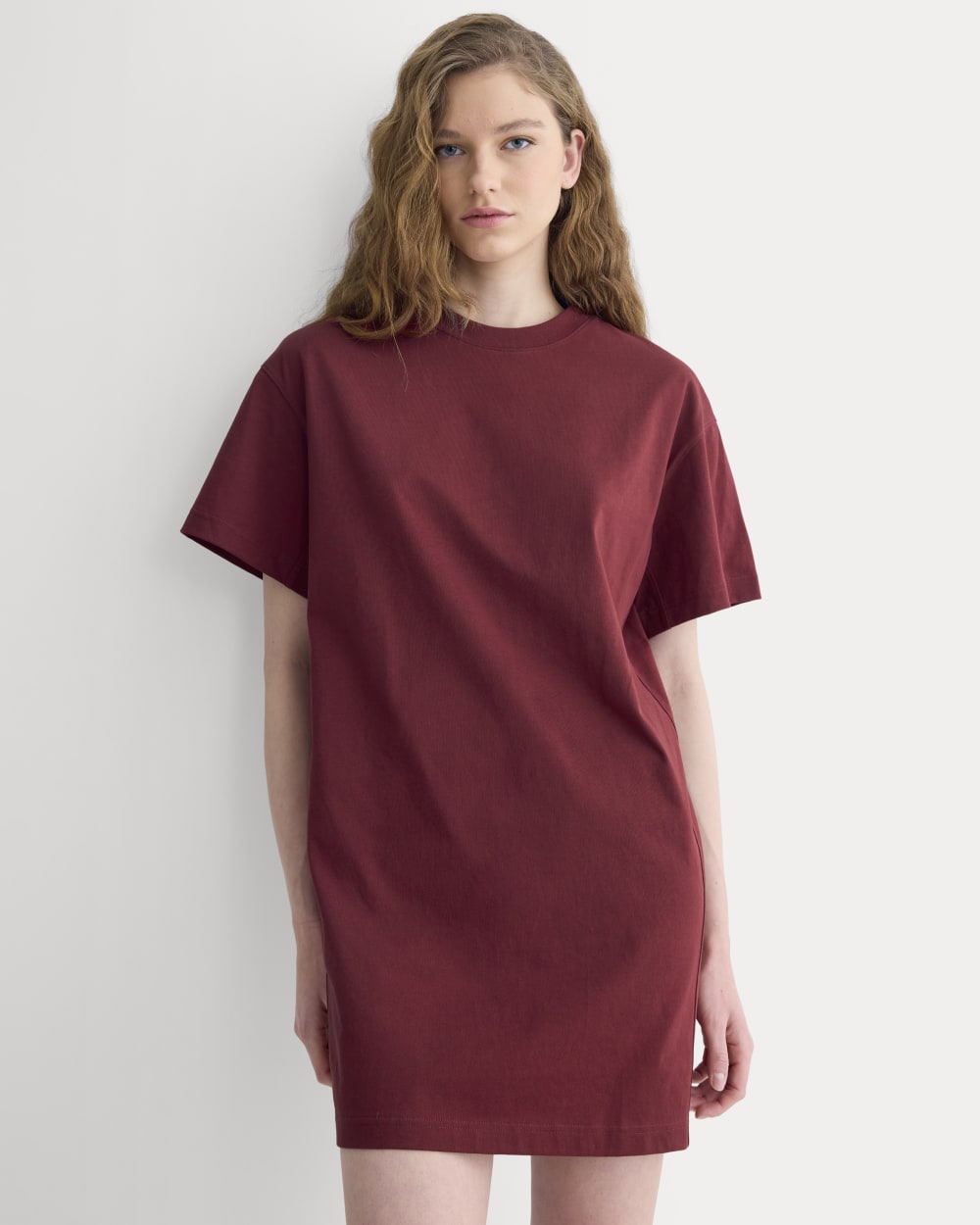 Weekend Tee Mini Dress in Pomegranate — detail view
