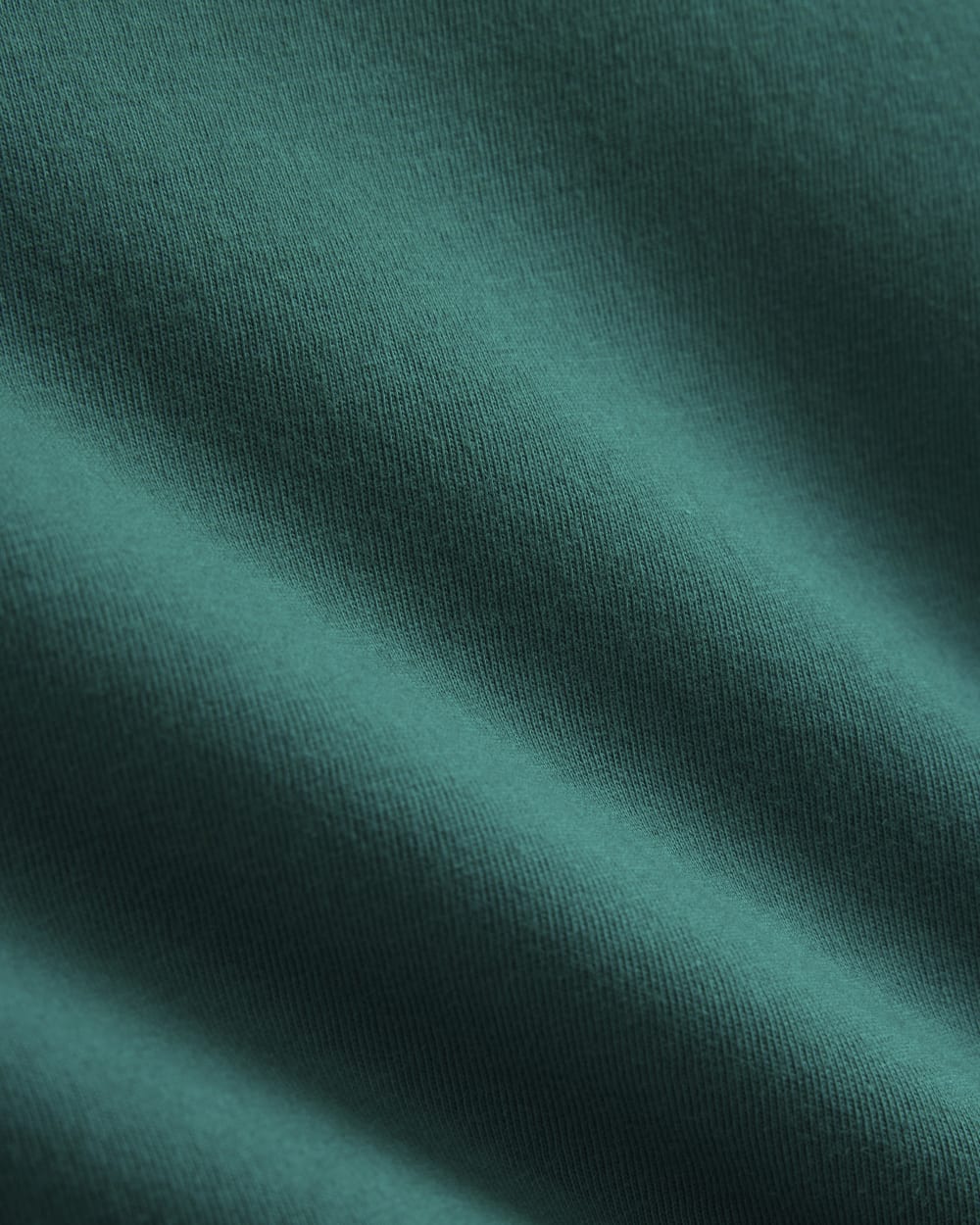 The Box-Cut Tee in Essential Cotton in Everglade — alternate view