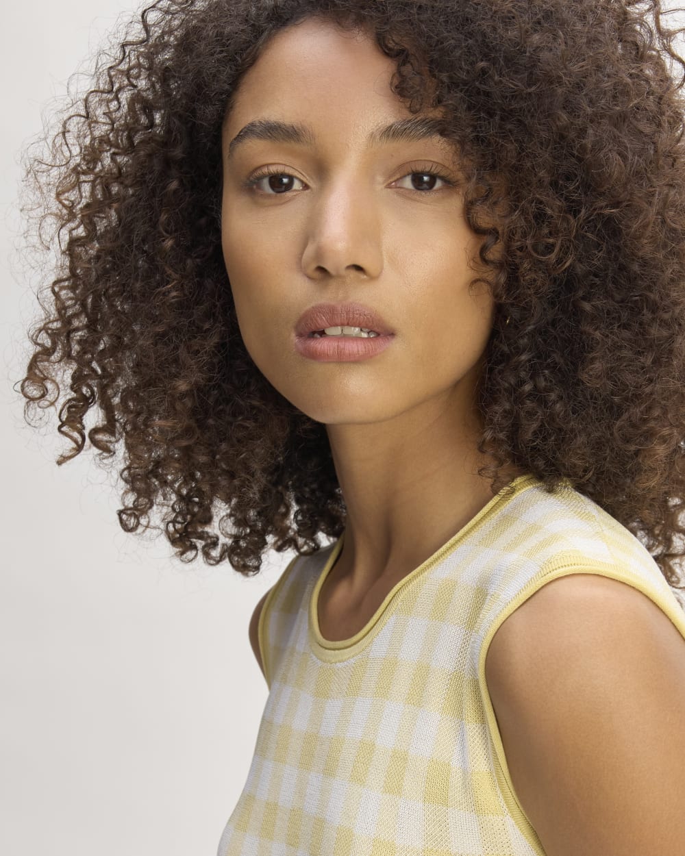 The Knit Pleated Dress in Bone / Parsnip Gingham — detail view