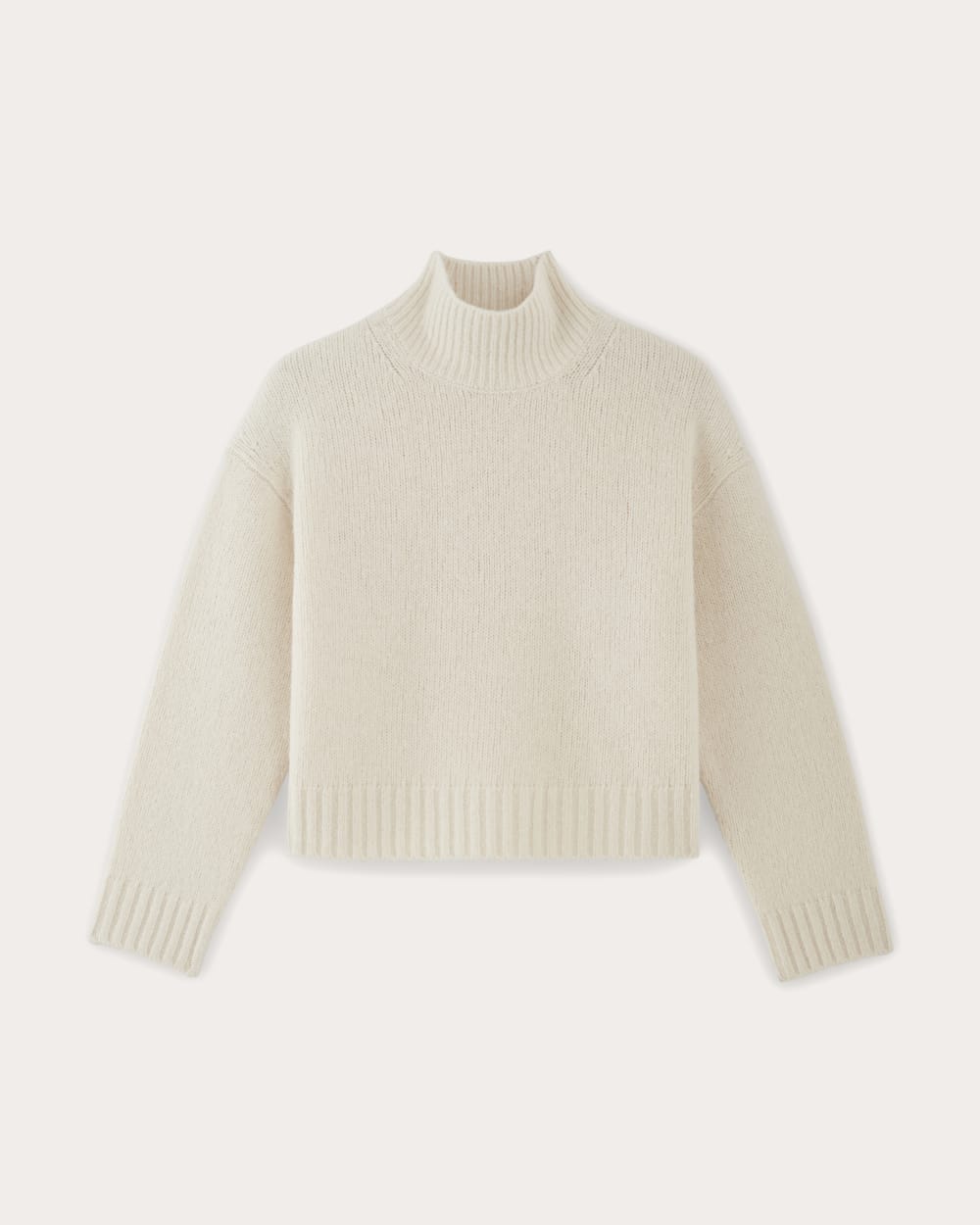 The Cloud Oversized Turtleneck in Bone — alternate view