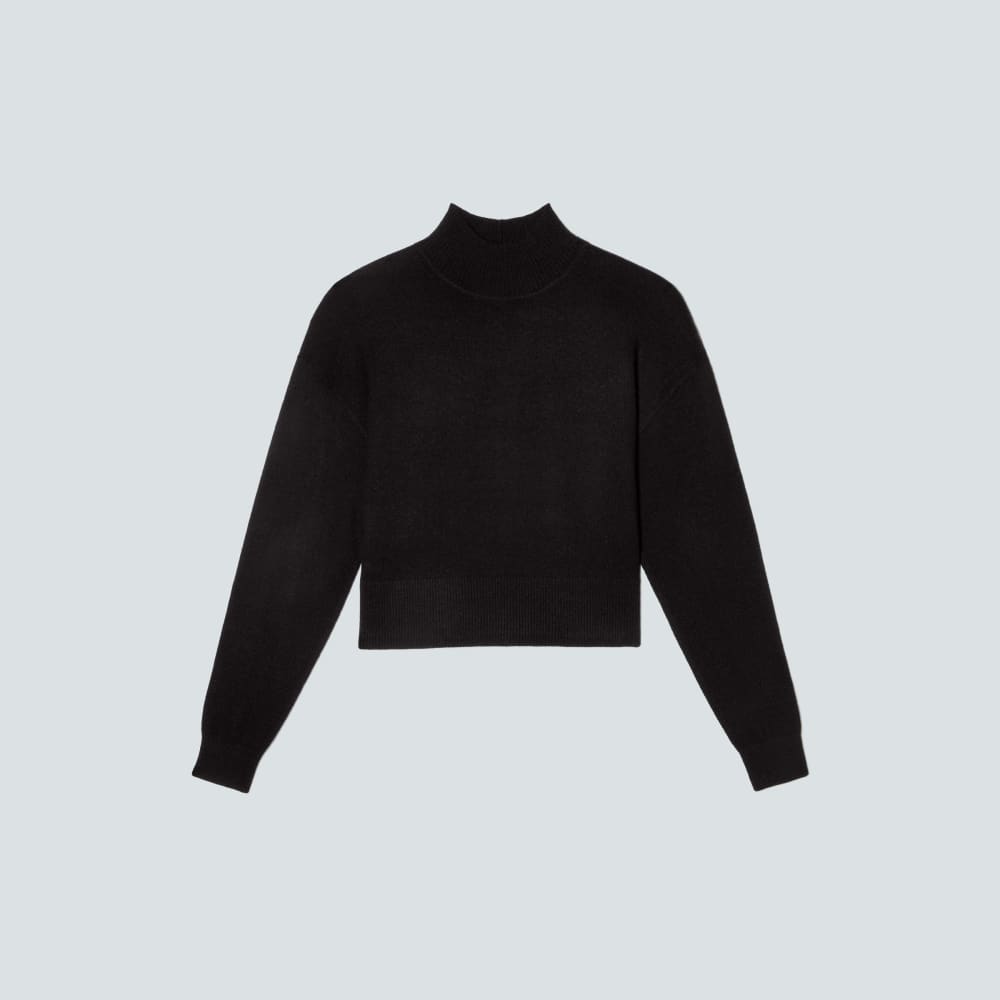 The Luxe Merino Turtleneck in Black — alternate view