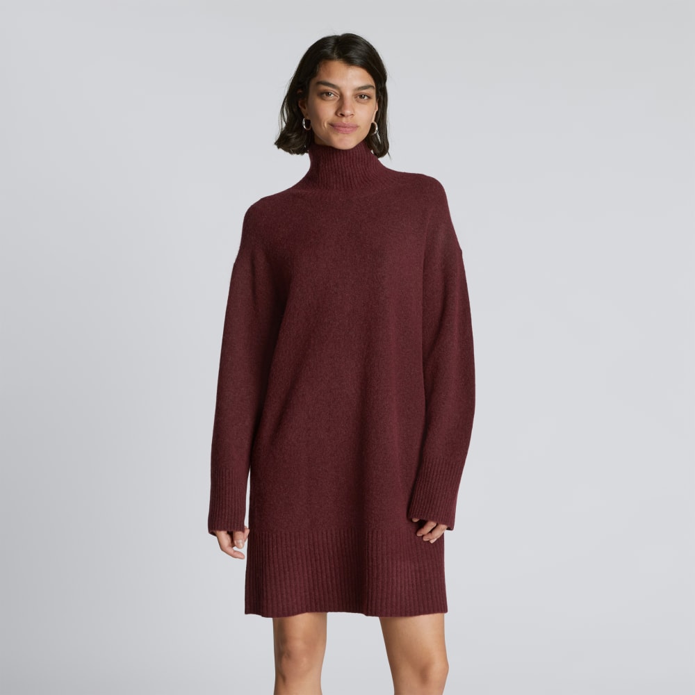 The Cozy Stretch Turtleneck Dress in Brandy — front view