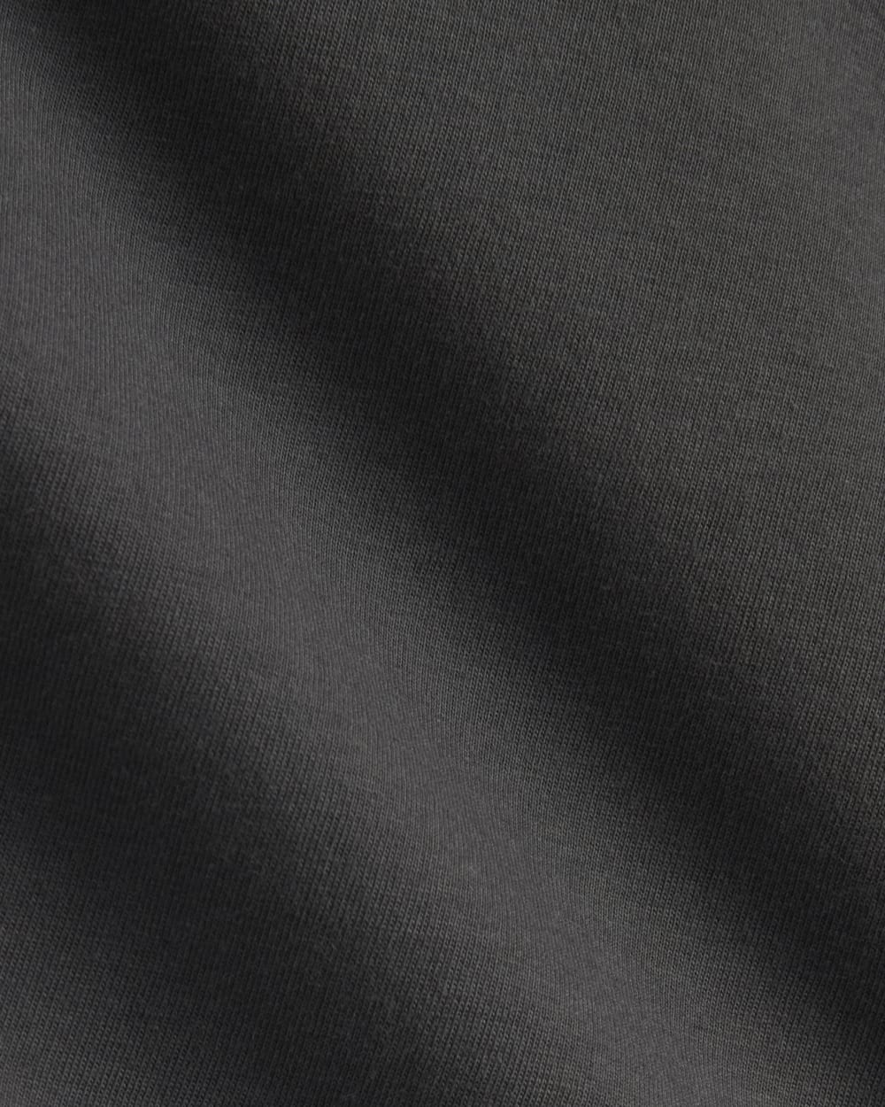 The Everlane x Parks Project Box-Cut Tee in Forged Iron / Natural — detail view