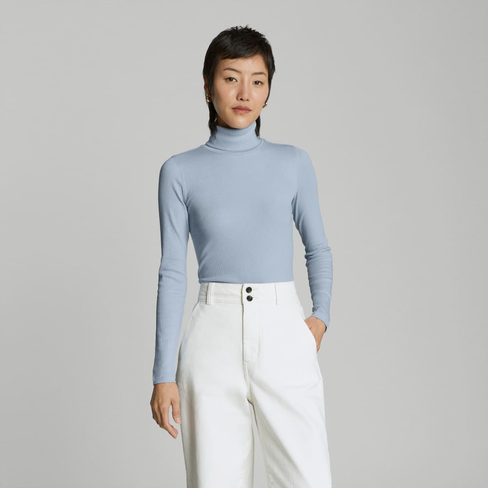 The Luxe Micro-Rib Turtleneck in Mist — front view