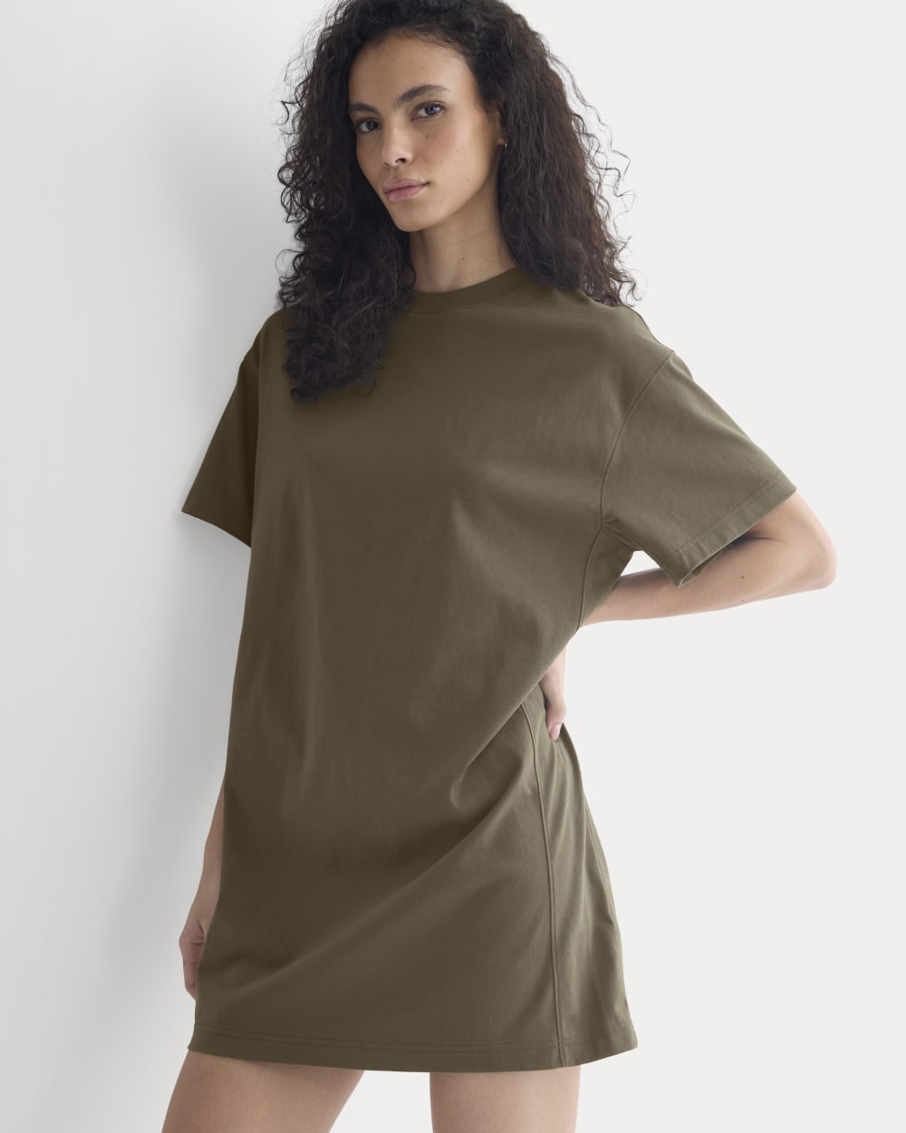 Weekend Tee Mini Dress in Beech — front view