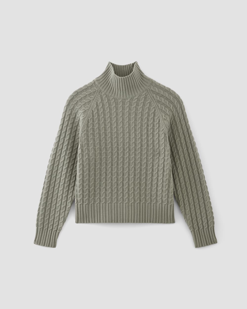 The Cotton Merino Cable Turtleneck in Sage Green — alternate view