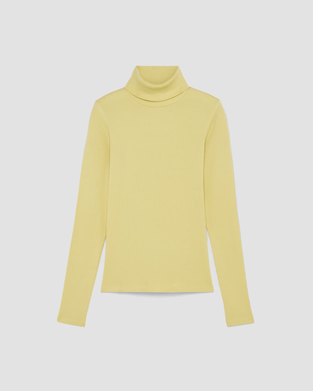 The Luxe Rib Turtleneck in Raffia — alternate view