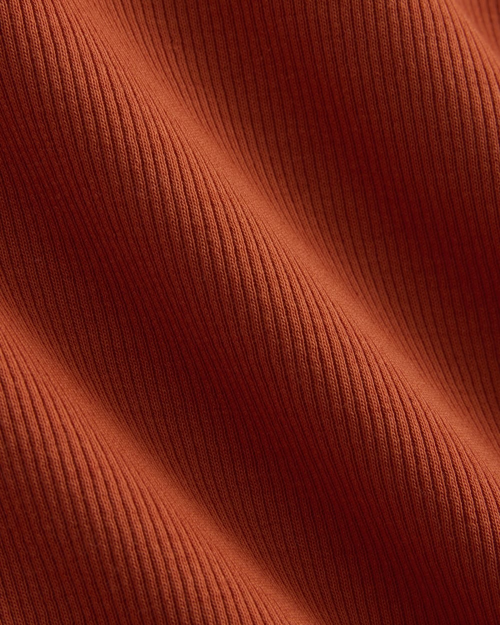 The Luxe Rib Long-Sleeve Crew in Rust — detail view