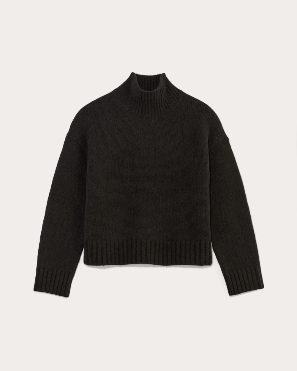 The Cloud Oversized Turtleneck in Black — alternate view