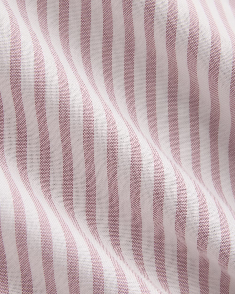 Everyday Oxford Shirt in Bone/Heather Rose — detail view