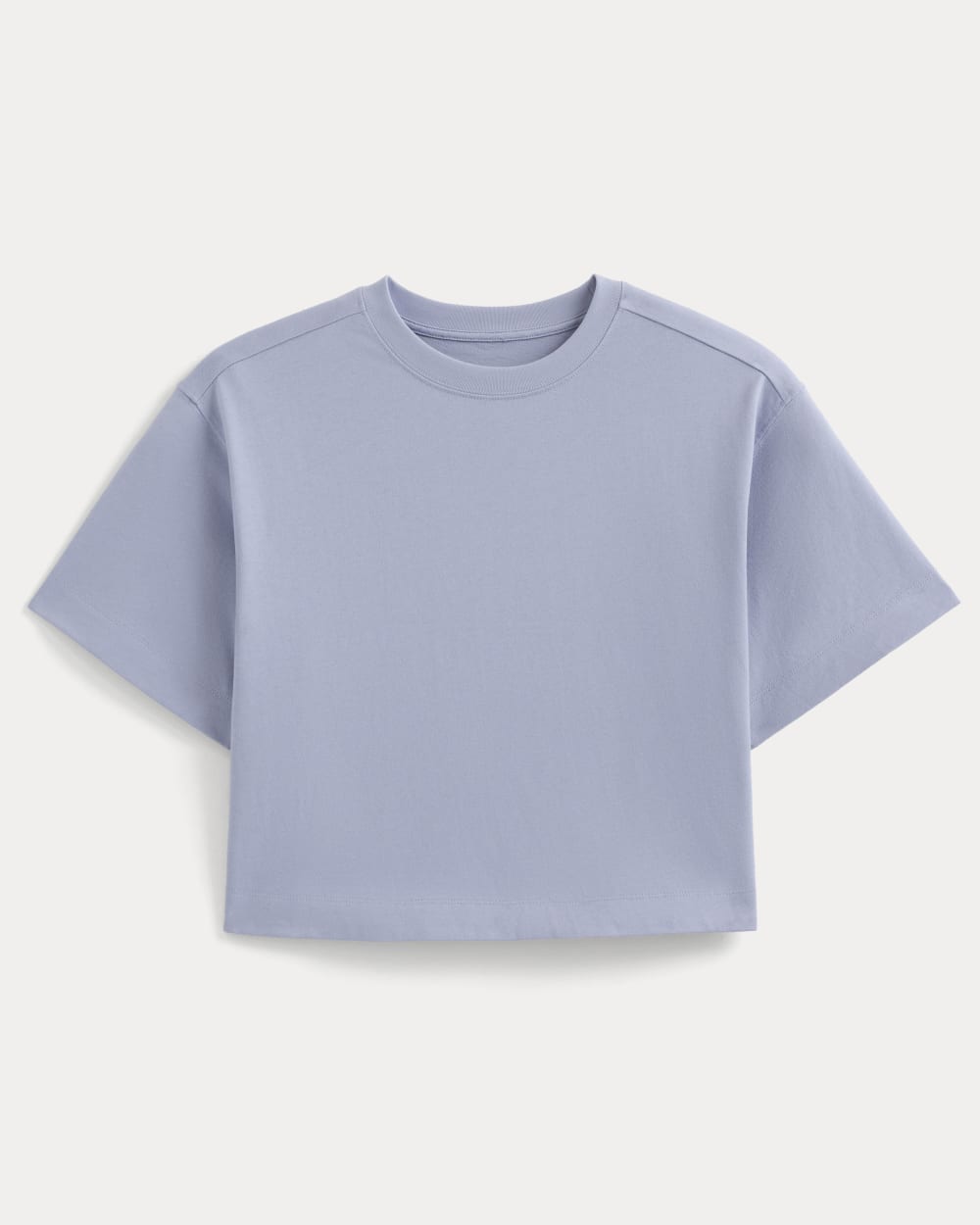 Forever Jersey Cropped Tee in Aleutian — alternate view