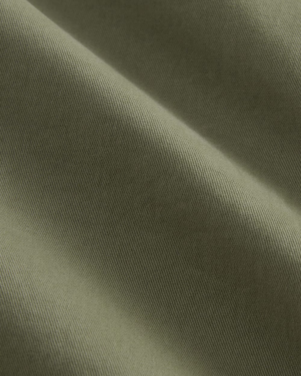 The Balloon Chino in Lichen Green — detail view
