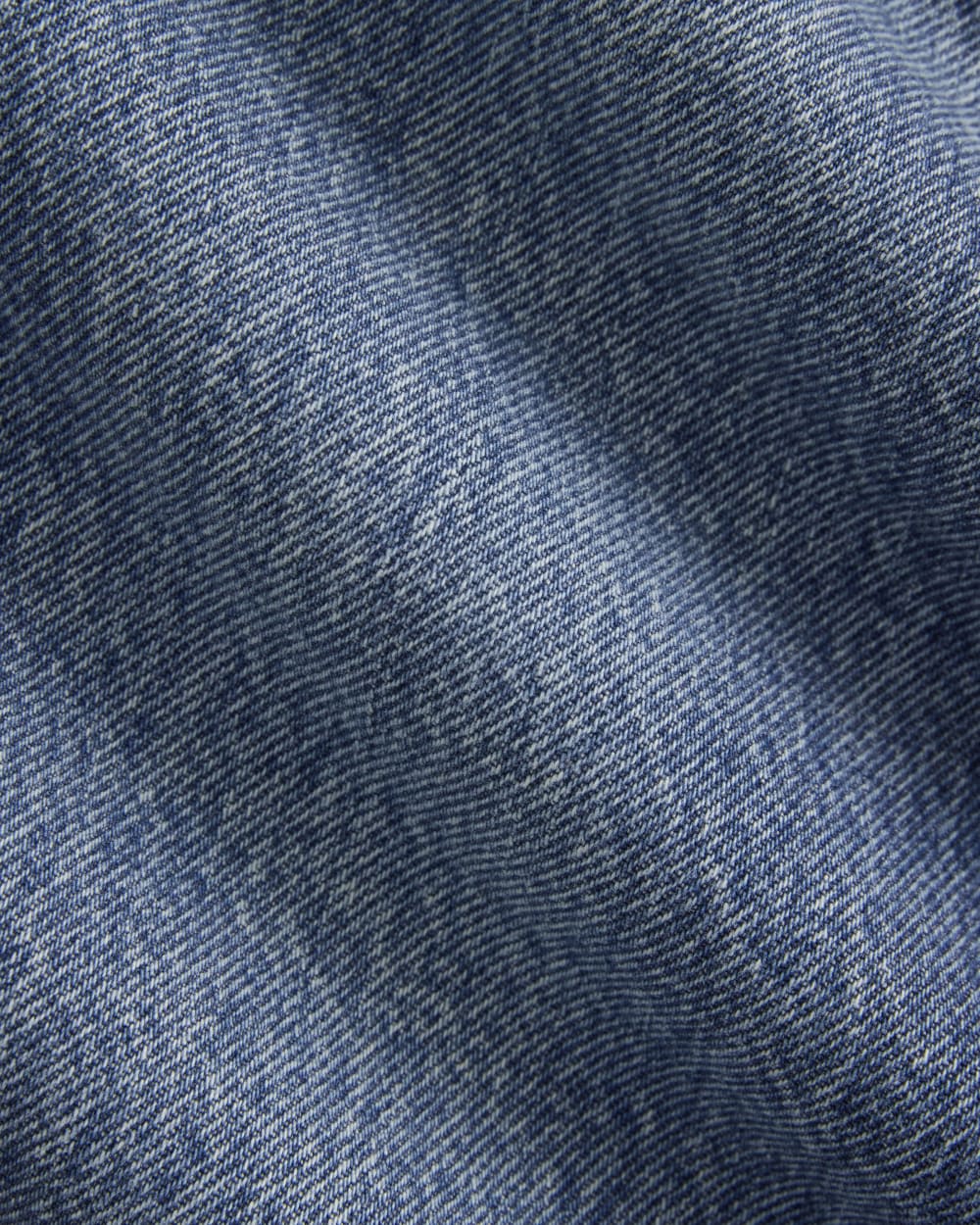 Everlane x Elena Bonvicini La Brea Low-Rise Baggy Jean in Blue Bird Indigo — detail view