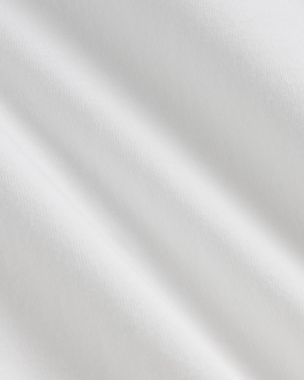 The Slim Long-Sleeve Crew in Essential Cotton in White — detail view