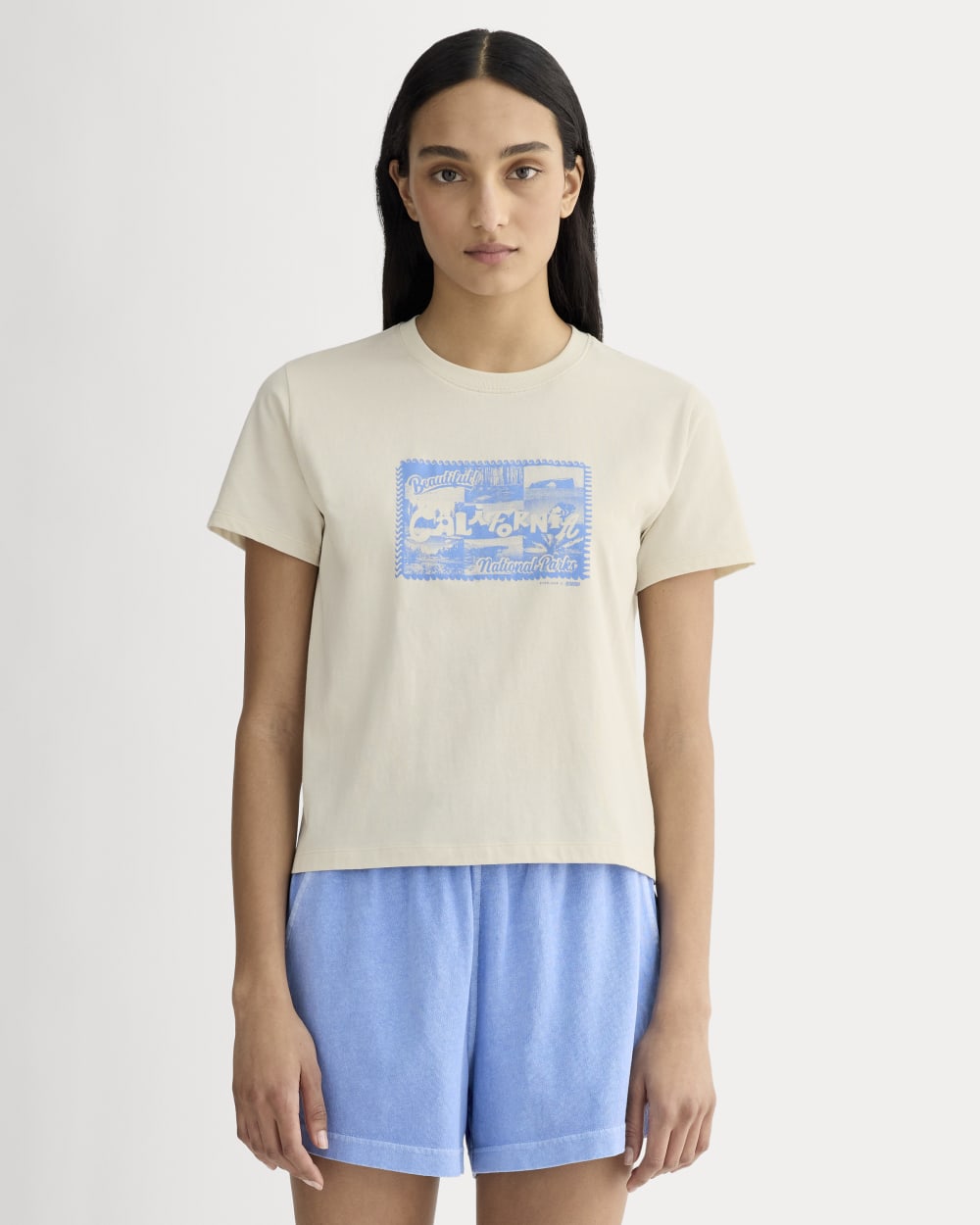 The Everlane x Parks Project Box-Cut Tee in Natural / Granada Sky Blue — front view